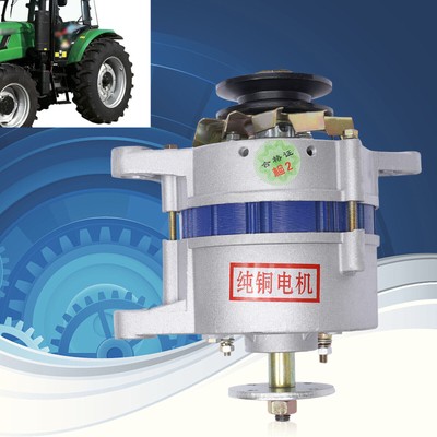1200W PMA Permanent Magnet Alternator Synchronous Generator Low Rpm Agricul