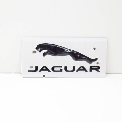 JÄGER ASPC２ JAGUAR F-PACE X761 Kühlwasserrohr C2Z28258 NEUES ECHTES | eBay