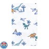 Luvable Friends Hudson Baby Flannel Burp Cloths 10pk, Dino Garden