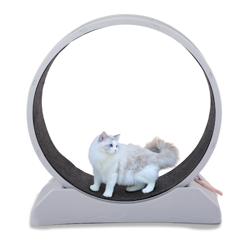 Cat Exercise Wheel Large Cat Treadmill Running Wheel for Indoor