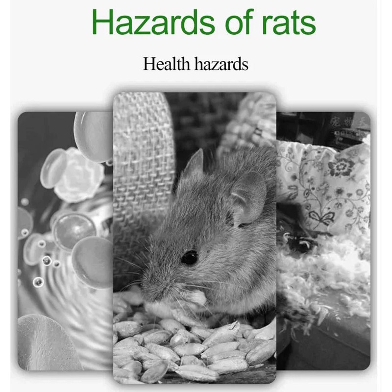 10x Rat Mouse Repellent Pill Repellent Peppermint Oil Mice Rodent Pest Control