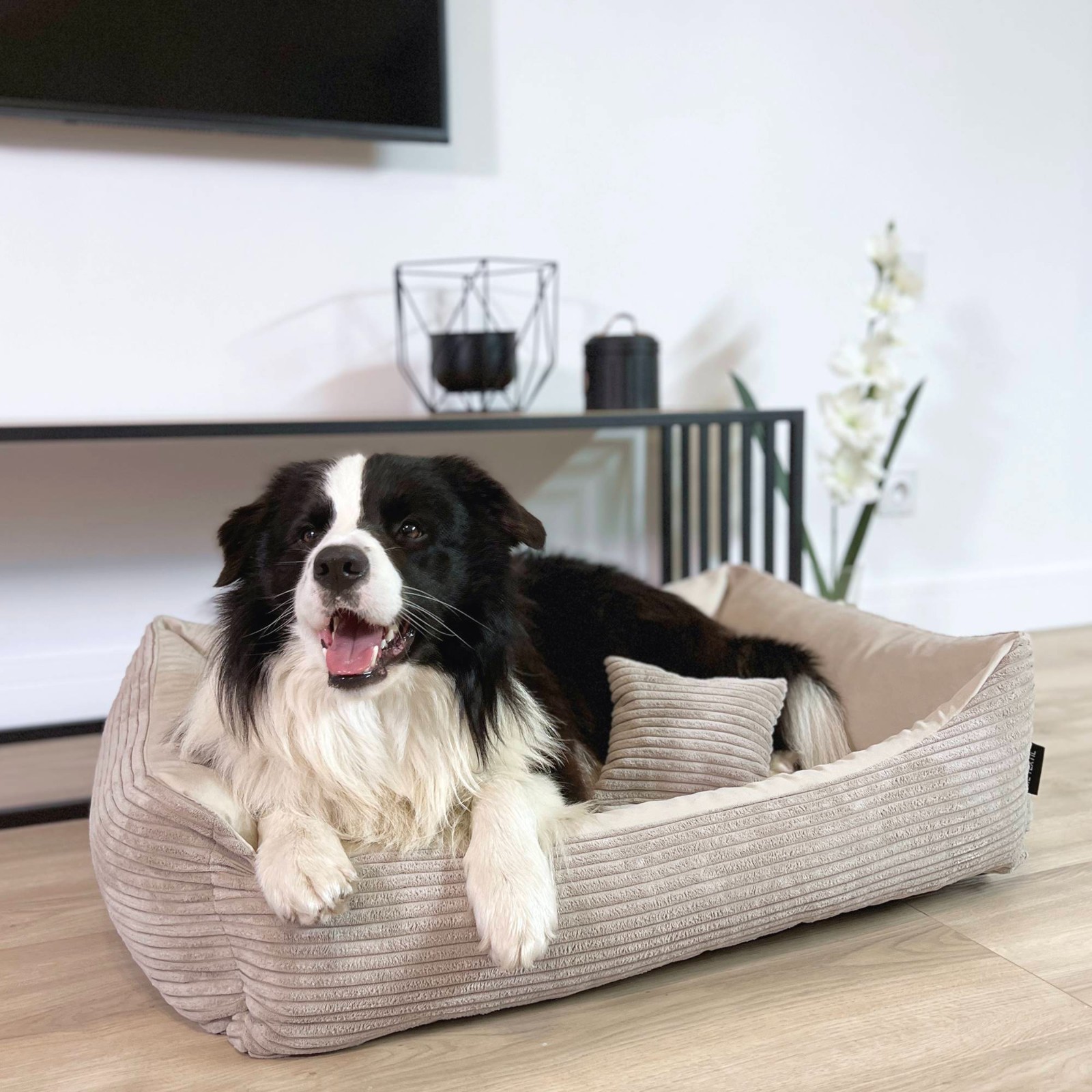 Molly Mutt Wasserabweisende Hundebett-Einlage – Größe M/L (68,6 X 91,4 X 12,1 Cm), Grau | Leicht Zu Reinigen