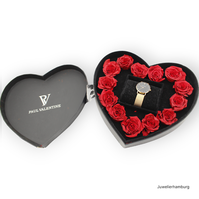 PAUL VALENTINE PVHB36211combi Armbanduhr Edelstahl Gold 
