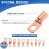260Pcs Copper Wire Lugs, Battery Cable Ends AWG 2 4 6 8 10 12 Gauge Wire Connectors with Heat Shrink Set, Ring Terminals Connectors Battery Cable Lugs Battery Lugs with 140Pcs Heat Shrink Tubing Kit