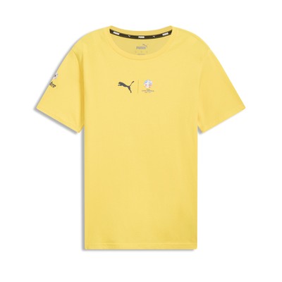 Мужская футболка PUMA для Кубка Америки 2024 года в Колумбии