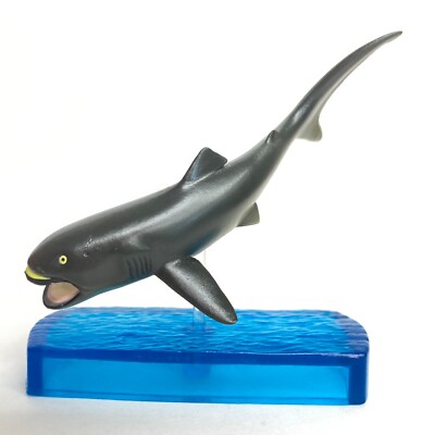 SHARK TOYS 1/12 トニー DX.Ver  002B Amazon.co.jp: SHARK TOYS 1/12 トニー DX.Ver 未開封 002B