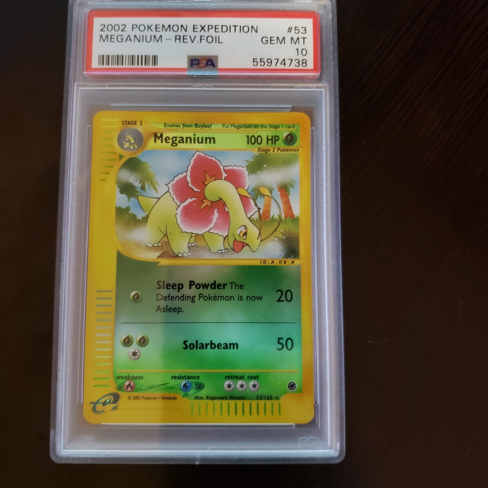 値下げ交渉 Psa 10ポケモンmeganium 53探検リバース宝石 新品同様 新古品 今季ブランド おもちゃ ホビー コレクションカードゲーム Segsulcorretora Com Br