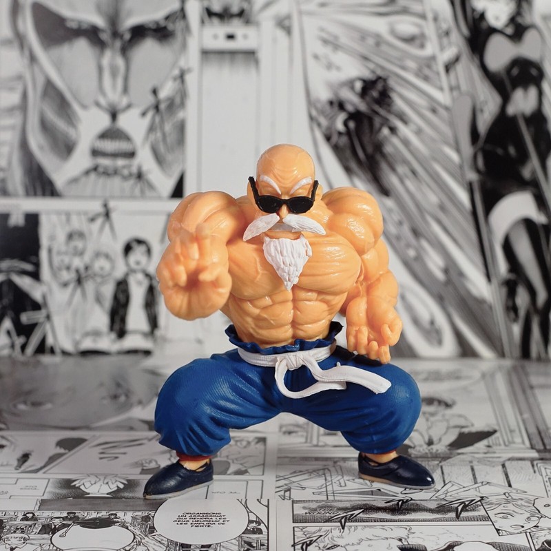 Dragon Ball Master Maestro Muten Roshi Action Figure Kame House Goku Anime Manga