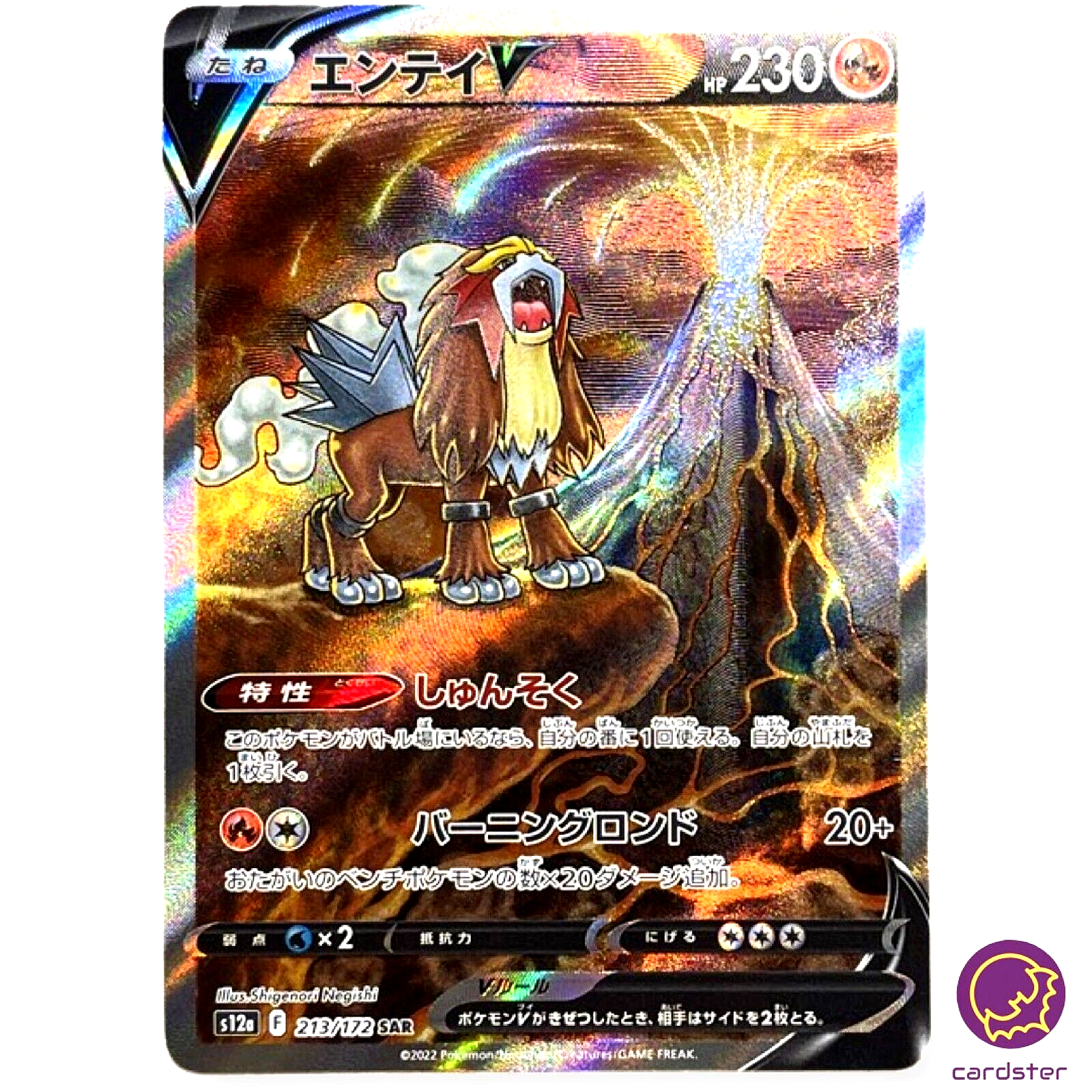 ★*料様 エンテイV SAR S12a VSTARユニバース 213/172 Entei V SAR 213/172 s12a VSTAR Universe Pokemon Card Japan