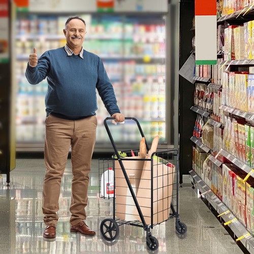 Folding Shopping Cart with Swiveling Wheel Dual Storage Basket for Laundry Black