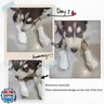 JWFLCK Disposable Dog Paw Protectors, 24 PCS Paw Protection Covers with Adjustable Self-Adhesive Straps for Indoor and Outdoor Use, Perfect for Walking, Hiking, and Post-Surgery Care(M)