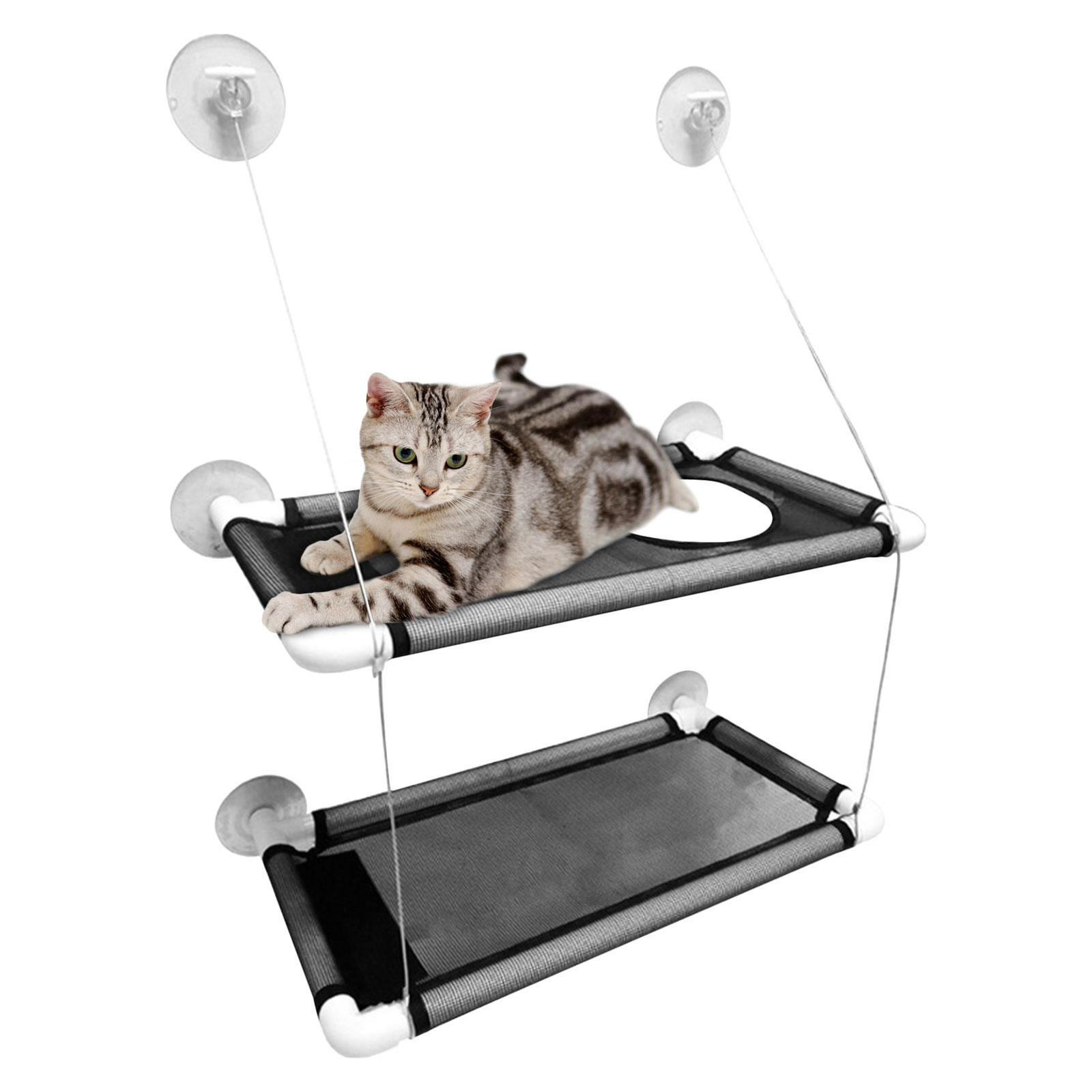 Window Pet Bed For Cats Small Dogs Sunny Window
