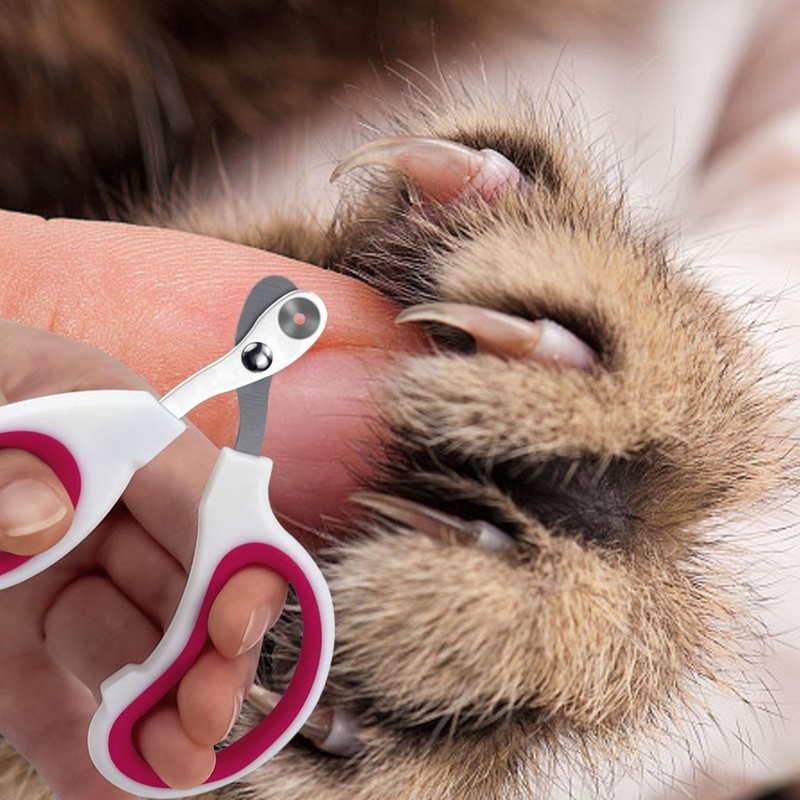 Pet Nail Clippers For Small Animals Cat Clippers