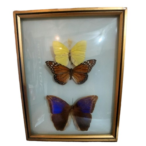 セール中】ヴィンテージブラスフレームコンヴェックスグラス