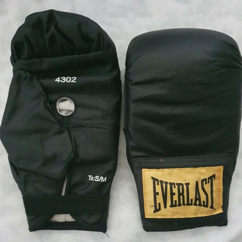 everlast boxing gloves 10 oz | eBay