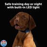 PetSafe Core Dog Trainer with Remote – Waterproof Training Collar – 1000 Foot Range – Tone, Vibration and 15 Levels of Static