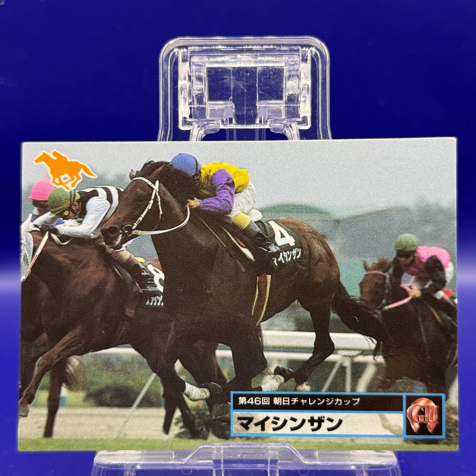 競走馬ハンドブック = THE RACEHORSE HANDBOOK 競走馬