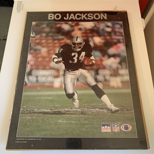 その他 Bo Jackson Los Angeles Raiders NFL 2025 Panini Football Donruss Elite Bo Jackson #36 Los