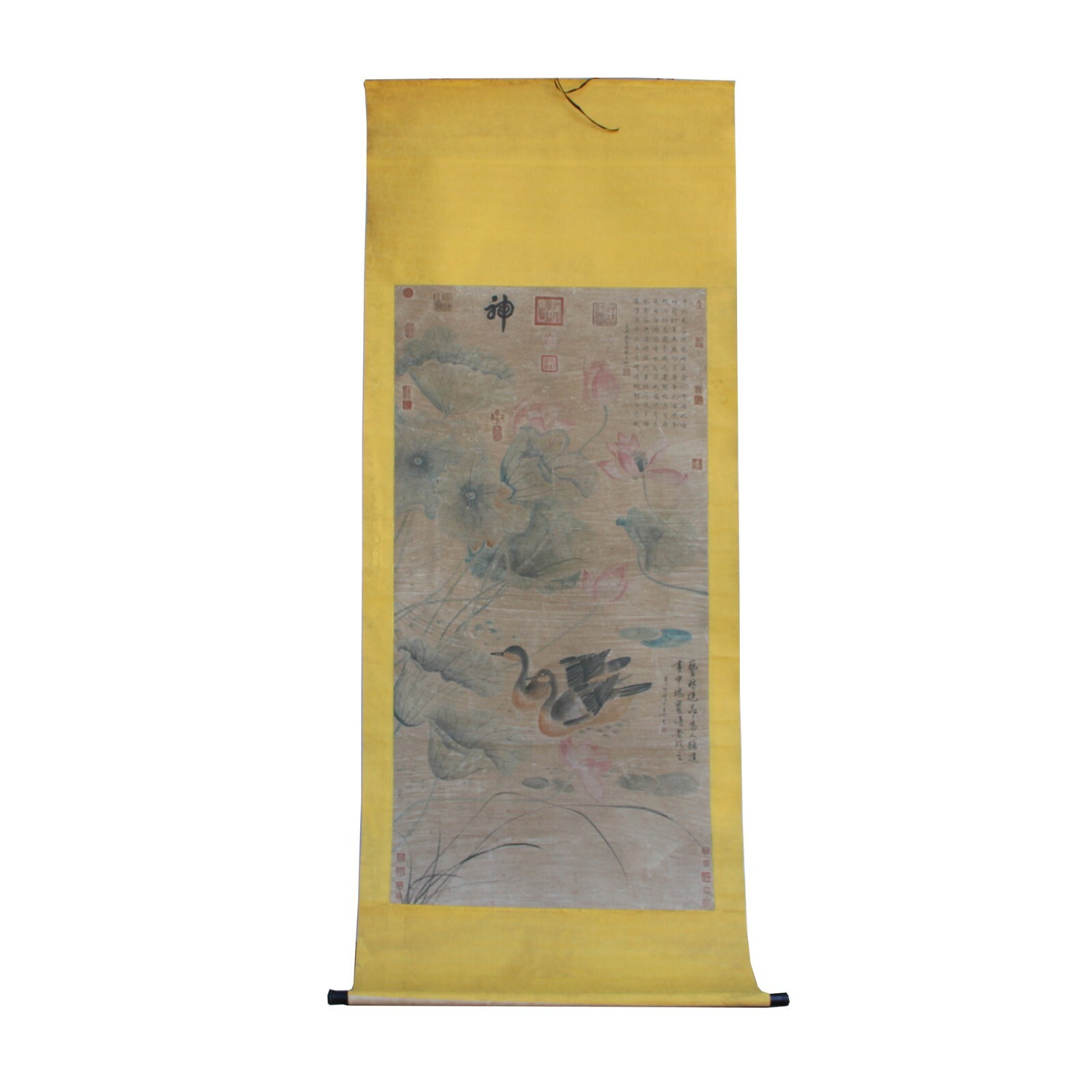 Chinese Birds Color Ink Scroll Painting Museum Quality Wall Art cs5644S Chinese Birds Color Ink Scroll Painting Museum Quality Wall Art cs5644S
