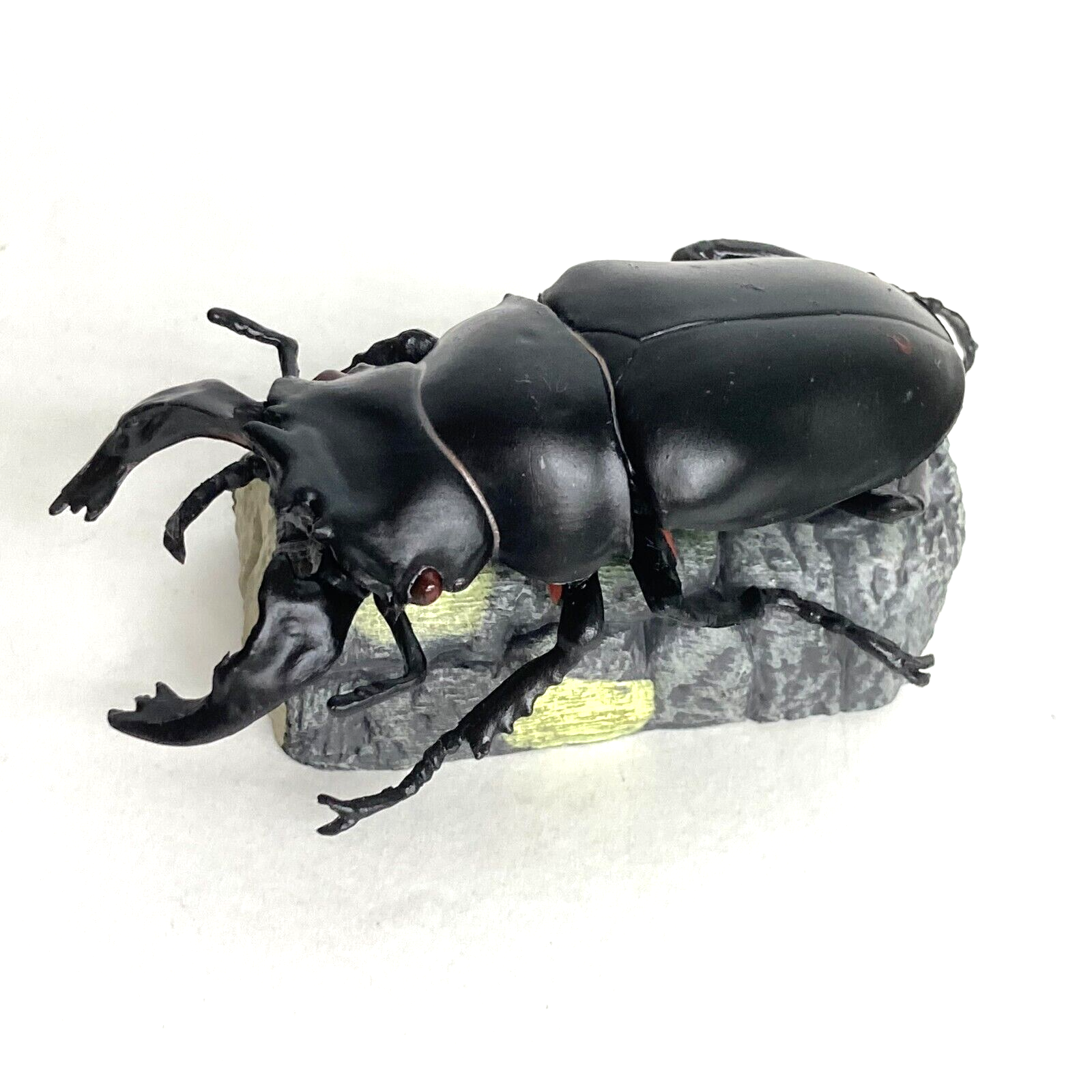 SANDS Cigar Beetle スタジャン　XL STAG BEATTLE HARD RUBBER 2 3/4