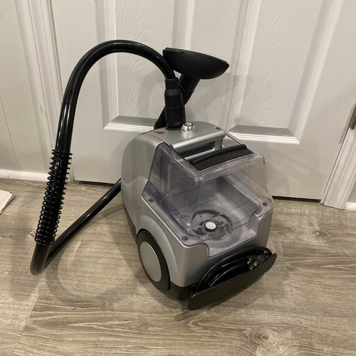 rowenta steamer is 8100