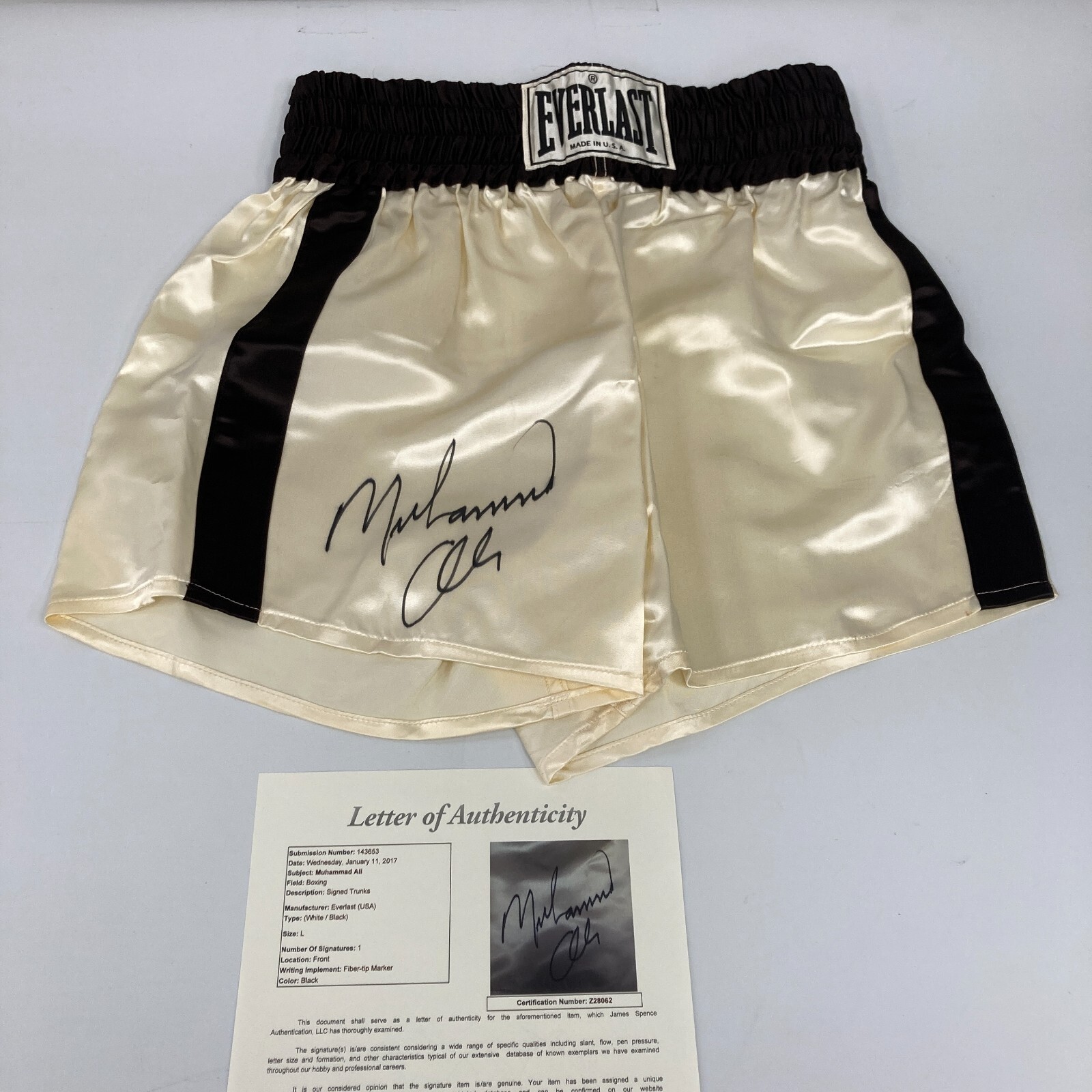 ＡＯＲ Ｓｅｌｅｃｔｅｄ　５００　ｔｉｔｌｅｓ　ｏｆ　ａｌ 2023 Panini Select UFC Arnold Allen Octagon Action Signature