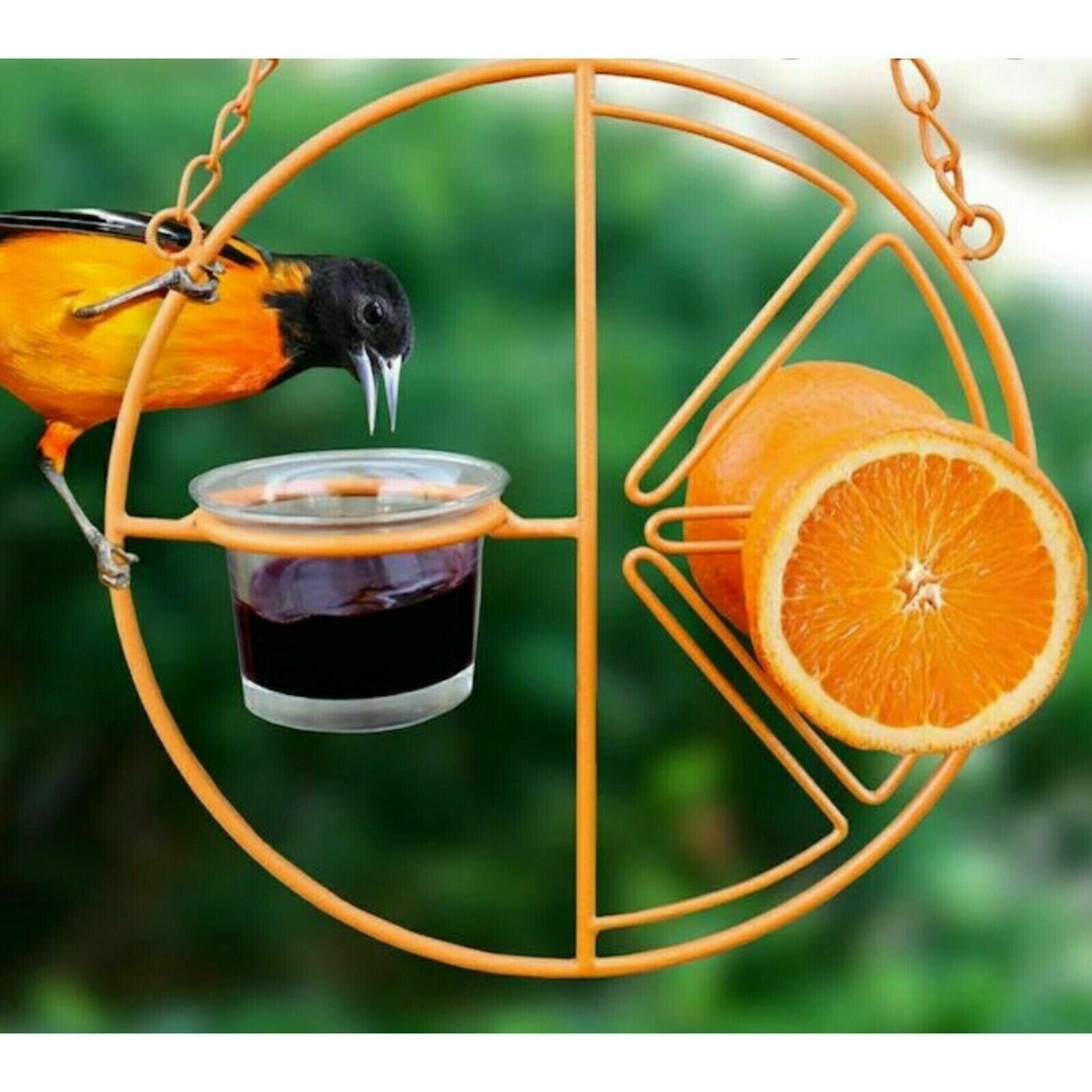 Bird Feeder Holds Jelly Fruit Mealworms