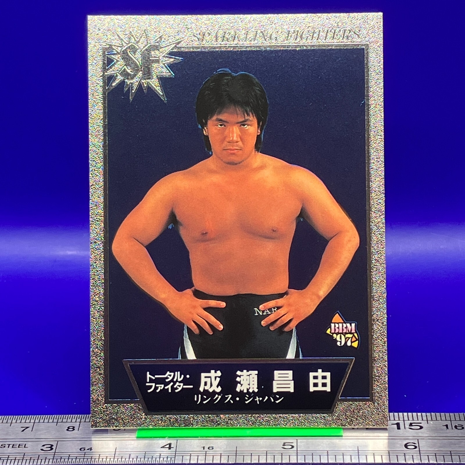 Masayuki Naruse BBM Pro Wrestling Card TCG Vintage Japanese