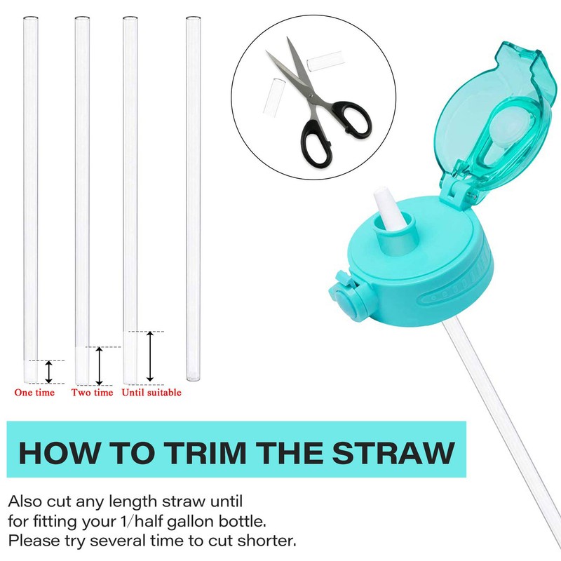 4pcs BPA Free Reusable Replacement Straw for Half / Gallon Water Bottles + Brush