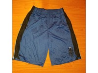 lebron james dri fit shorts