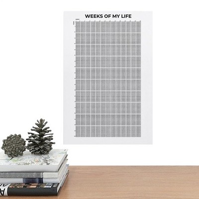 1PC My Life in Weeks Motivational Poster, Weeks of My Life Calendar Wall Art