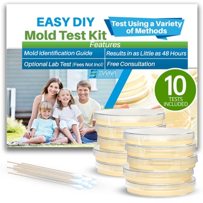 Evviva Sciences Mold Test Kit for Home - 10 Easy Detection Tests w/Optional L...