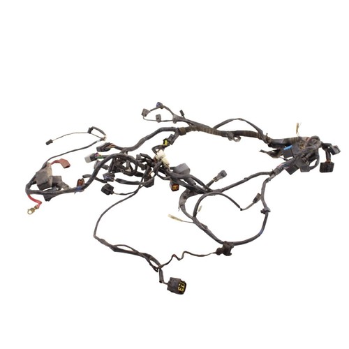 2006-2008 Triumph Daytona 675 Main Harness Engine Wiring