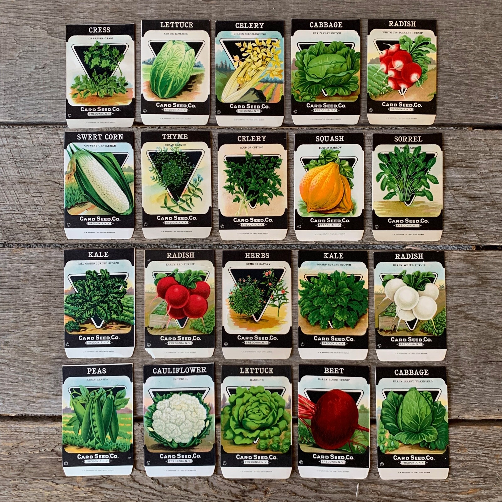 20 Original Card Seed Co 1920s VEGETABLE SEED PACK 20 Original Card Seed Co 1920s VEGETABLE SEED PACK