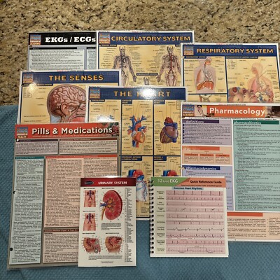 Laminated Health Anatomy Quick Study Academic Bar Charts Inc