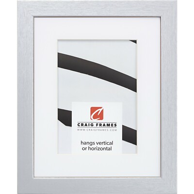Craig Frames Essentials, 1'' Wide Brushed Silver Picture Frame With a Mat