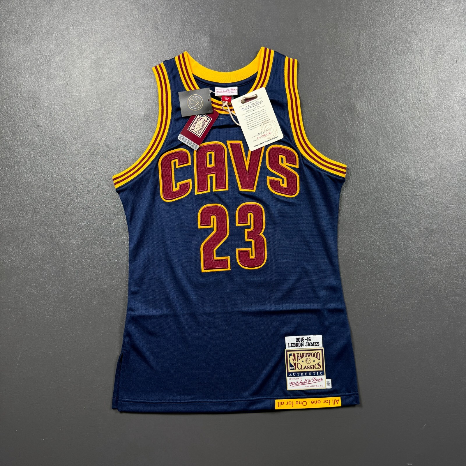 lebron james mitchell and ness