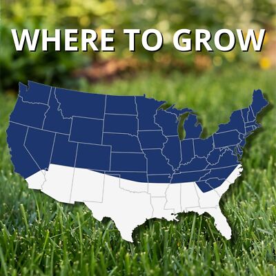 Jonathan Green Black Beauty Ultra Grass Seed, 3 Lb