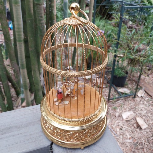 In Gold Gilded Cage Music Box