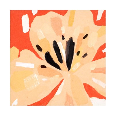 'Boomin Bloom II' Canvas Art by Annie Warren