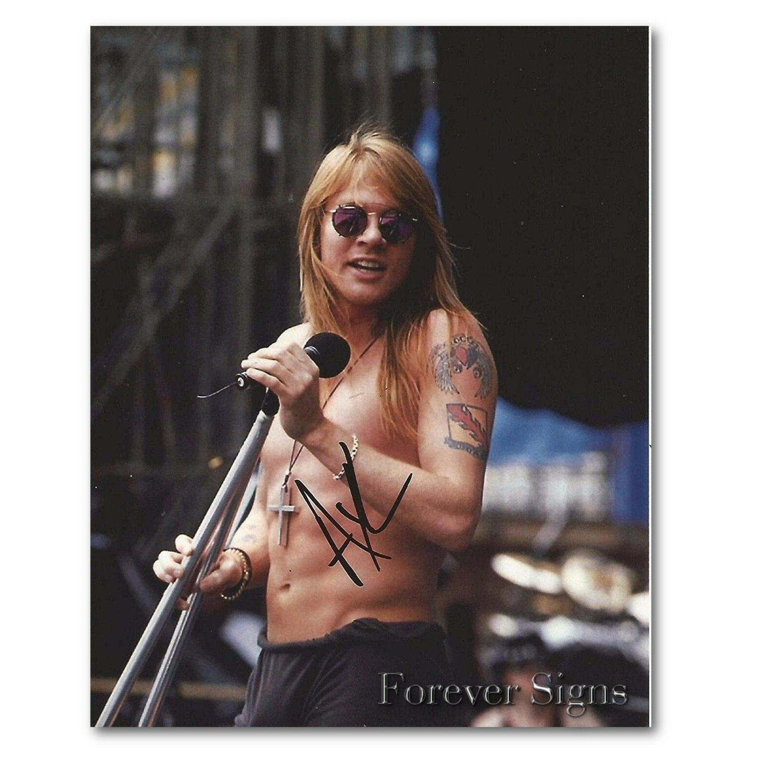 GUNS N' ROSES フレーム入り写真 495枚限定 Axl Rose Guns N Roses Axl Rose Legend Photo Limited Signature Edition