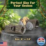 Crested Gecko Hide - Essential Crested Gecko Accessories for Tank - Reptile Hide Cave with Suction Cups - Unbreakable Realistic Tree Trunk Design - Safe Resin for Geckos, Lizards, Snakes