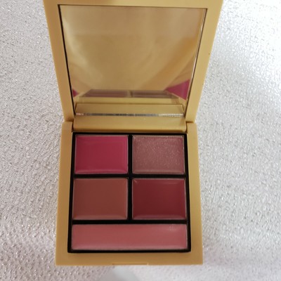 READY TO WEAR Passion For Fashion Lips  Collection LIPS 0.14 oz u/b