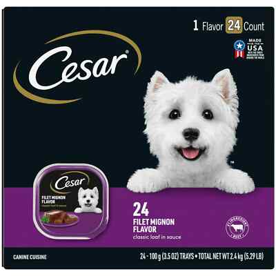 CESAR Wet Dog Food Filet Mignon Flavor, 3.5 oz. Pack of 24 For Adult Dogs 05/26