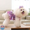 CuteBone One Piece Dog Bikini Swimsuit Dress - Puppy Bathing Suit Costume for Small Dogs - Comfortable and Stylish Pet Clothes for Summer Pool, Beach and Play LTDB07XS