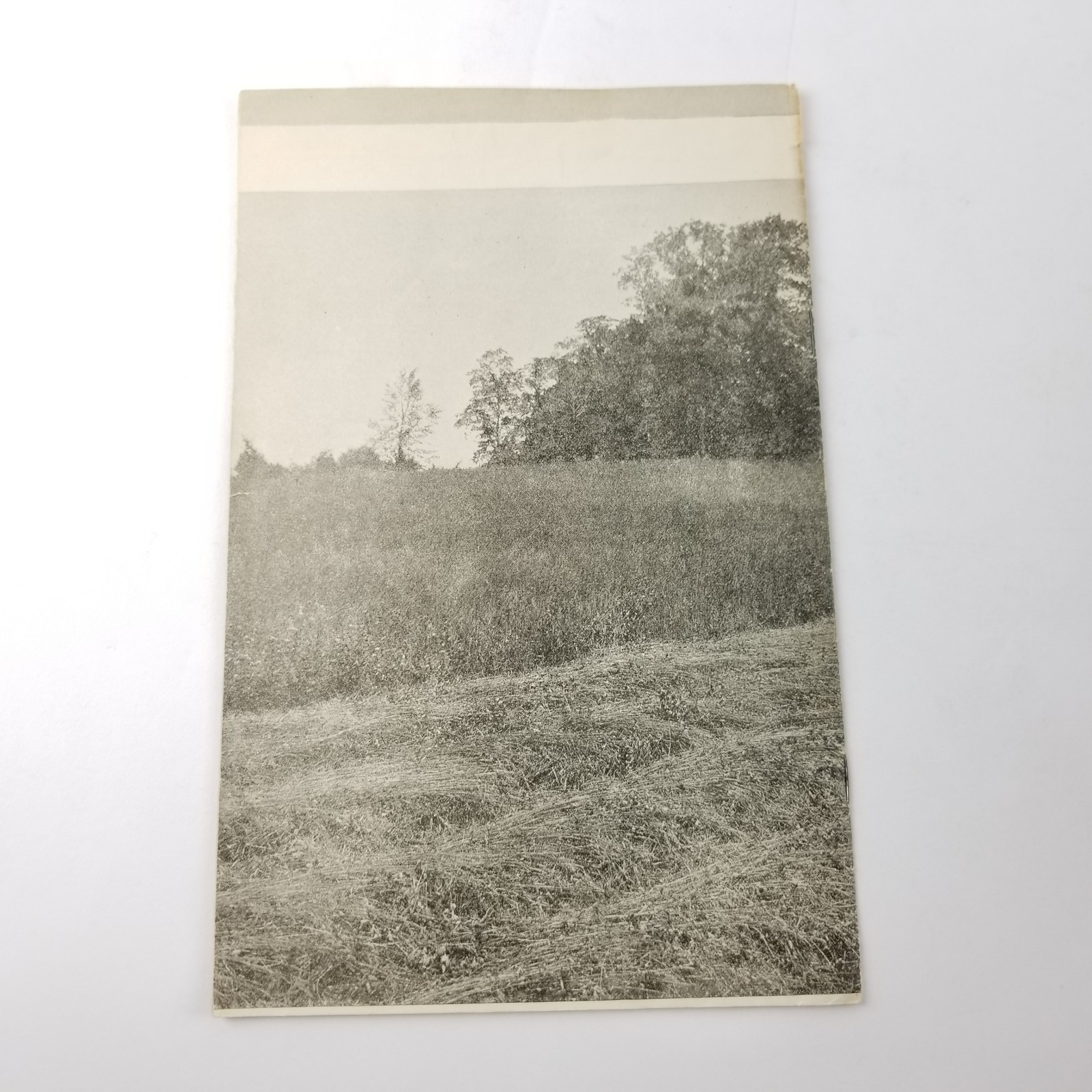 US Department of Agriculture Farmers Bulletin 1170 Meadows The Northern States