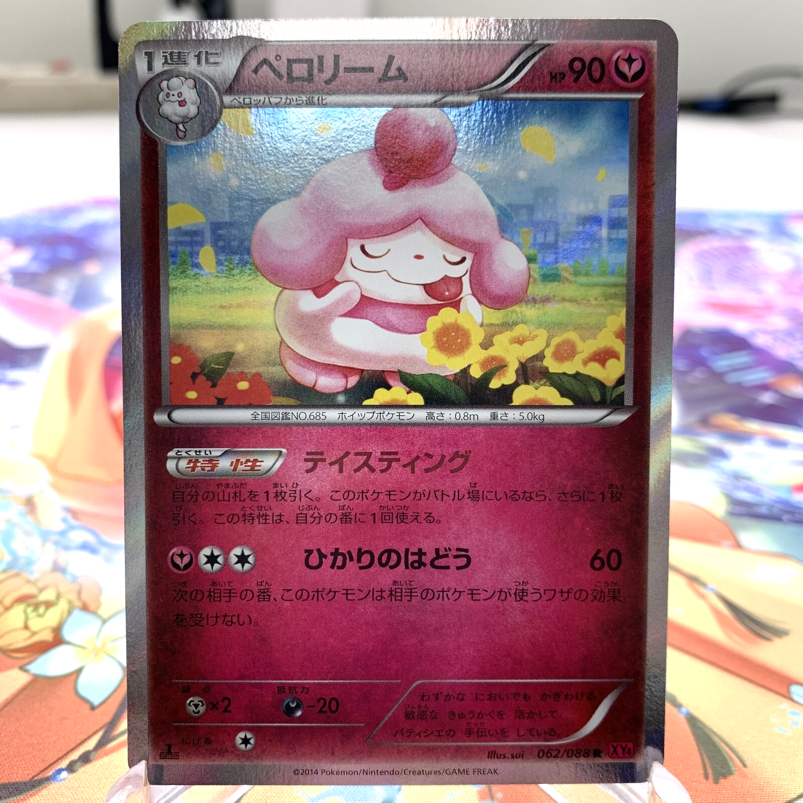 PUPUPU♪ DENMIDP0-SUE-MZN_01.jpg?auto=