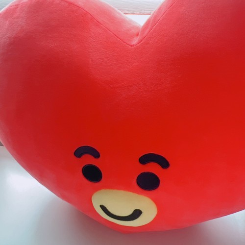 TATA クッション　42 $_12.JPG?set_id=880000500F