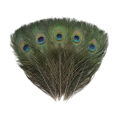 120 PCS Real Natural Peacock Eye Feathers 10-12 inch for DIY Craft, Wedding a...