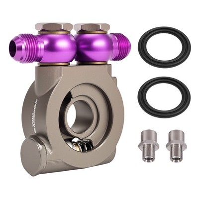 Gold Oil Filter Mount Kit M20 3/4-16 Thermostatic Control AN10 NPT Ports